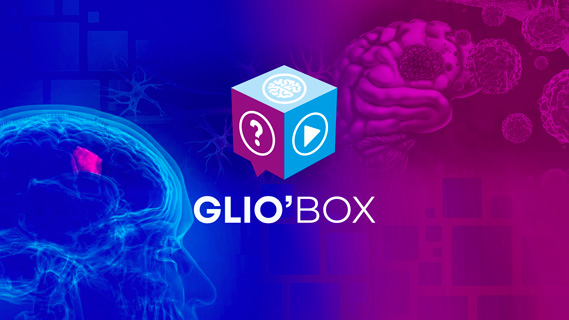 KP-TKO-GLIOBOX-VIGNETTE-202511171738