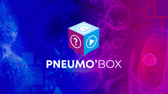 KP-TKO-PNEUMOBOX-VIGNETTE-202511171737