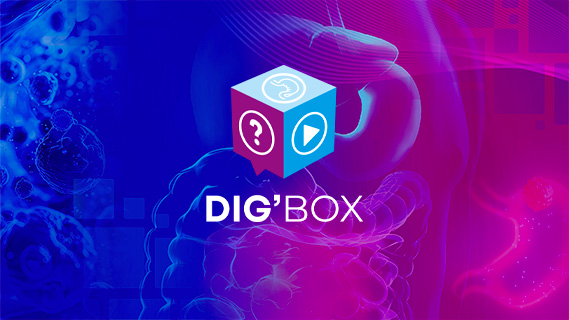 KP-TKO-DIGBOX-VIGNETTE-202605191157